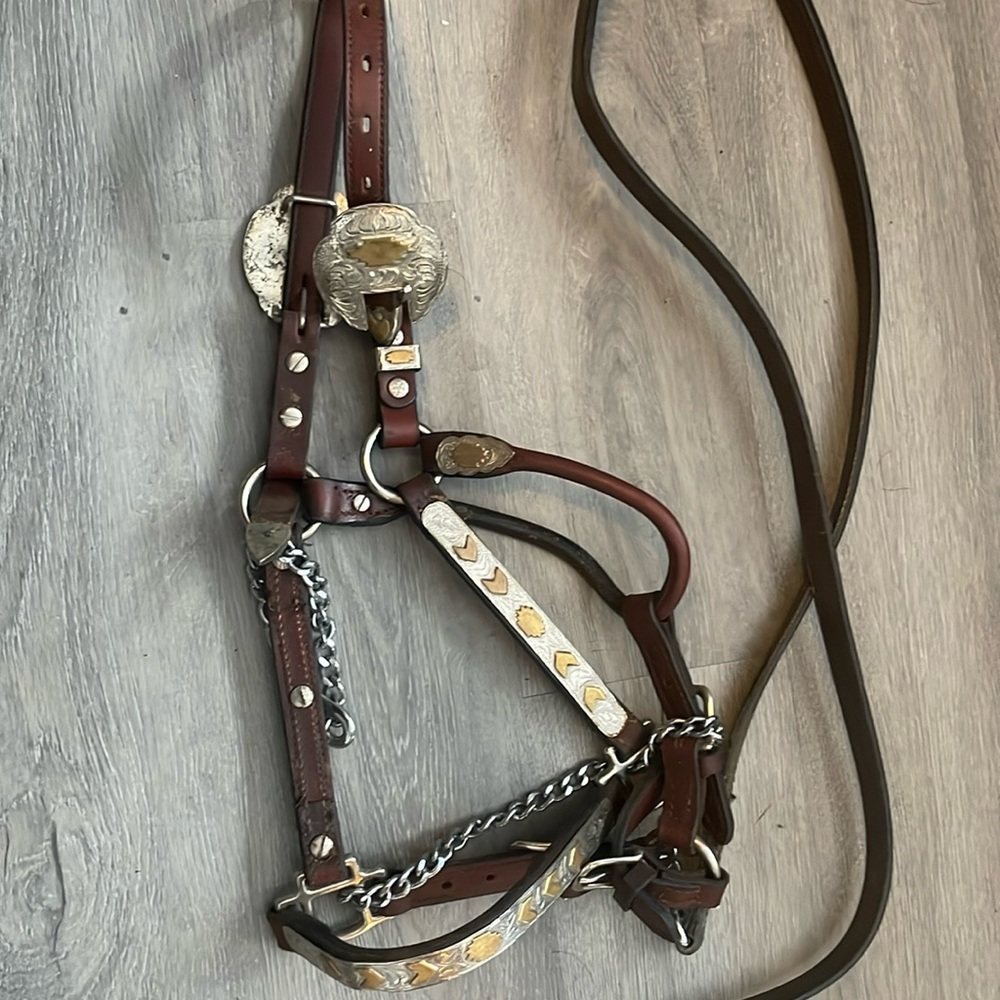 Showmanship Halter and Lead Rope